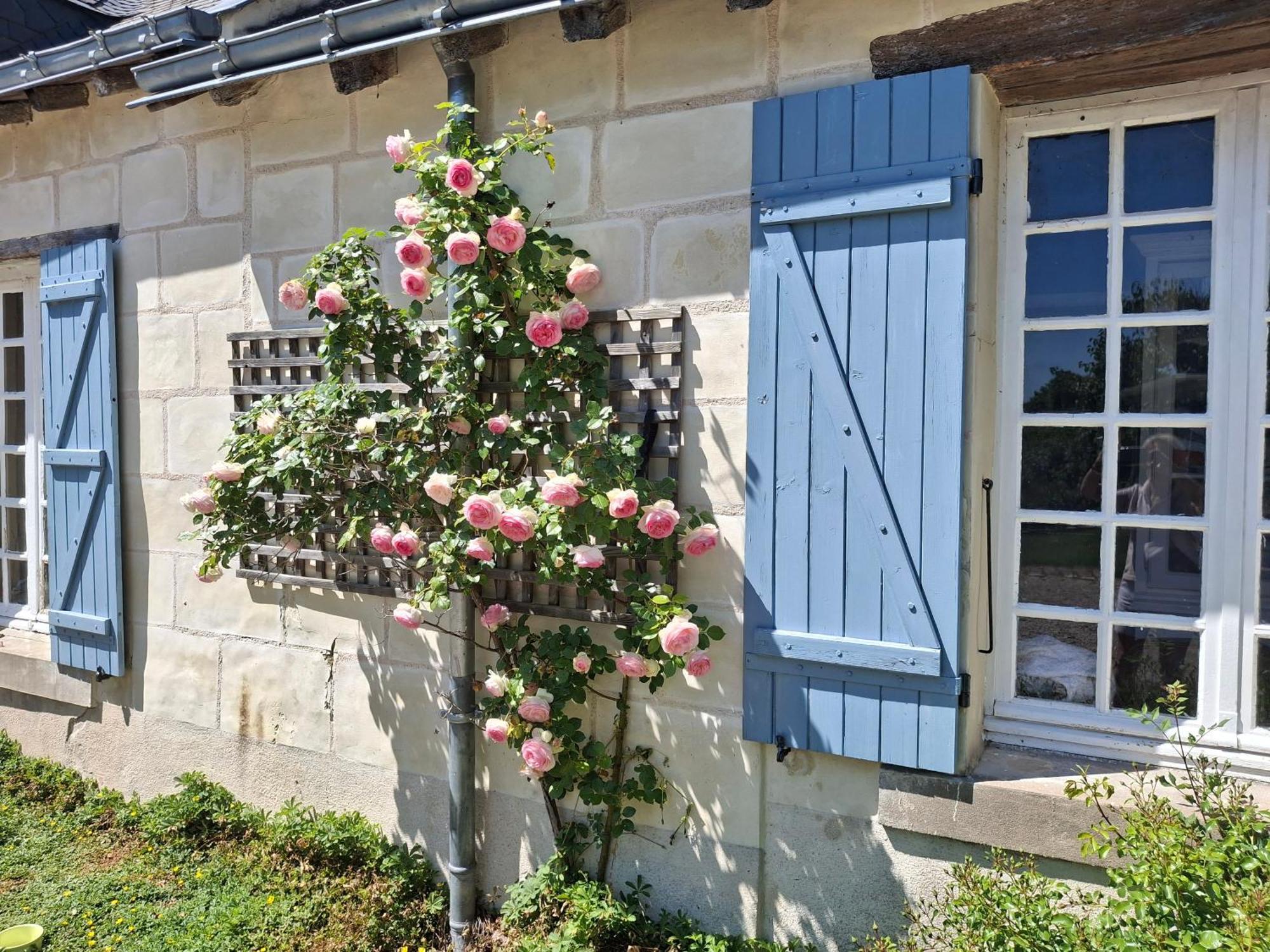 Le Mouton Bed & Breakfast Blaison Exterior photo